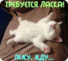 VK_Saved_Photo_ 636223859843843661.webp