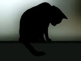 7cc0e14498c2e8d78d8a0be6be0e9d7f.webp