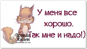 VK_Saved_Photo_ 636242659576942205.webp