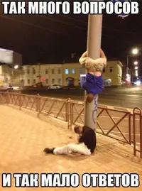 1488625774_alkogolnye-prikoly_xaxa-net.ru-1.webp