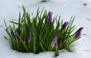 IMG_6684.webp