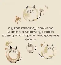 BUTfJ_opFHc.webp