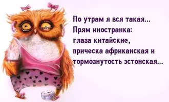 7SYXKnAZVNA.webp