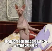 imageт аы.webp