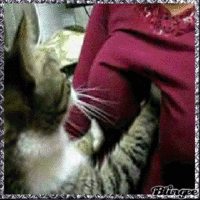 826580899_1568107.gif