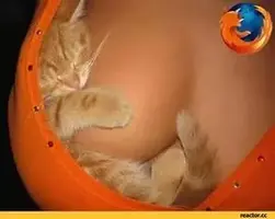 76уш.webp