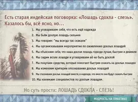 IMG_7208.webp