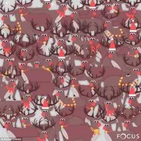 0_1b5b15_d88c8ac4_orig.webp