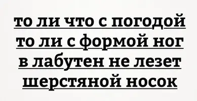 IMG_7368.webp