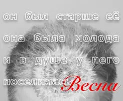 Изображ..webp