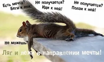IMG_2659.webp