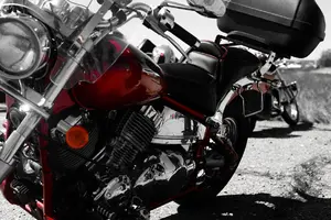 Xb9ZIA6rDjc.webp