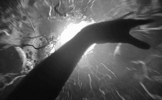 tumblr o1kwu6mxRc1v60qbbo1 500.gif