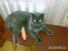 9d23e14a6f9141da7997120f40ba244d.webp