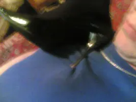 07052009(044).webp