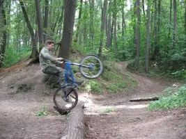 x_71241cbf.webp