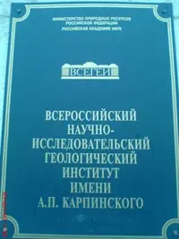 x_9635af24.webp