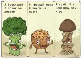 q9iDeNX9T8E.webp