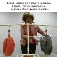 IMG_7765.webp