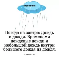 IMG_1521.webp
