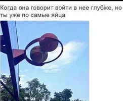 IMG_7995.webp