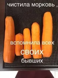 IMG_5714.webp