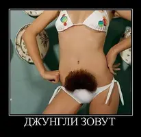 IMG_0846.webp