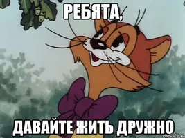 image-0-02-05-98b99b70a0784027d0bf302f2f9f307a9c249dd8d07d1cb8a88017b756adec12-V.webp