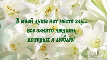 рк.webp