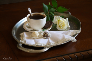 IMG_8073.webp IMG_8073.webp