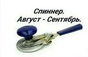 IMG_4155.webp