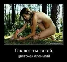 1488882163241.webp