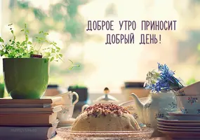 IMG_8341.webp