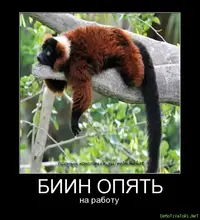 de1ae2402472a1de6b414f45bb80d766.webp