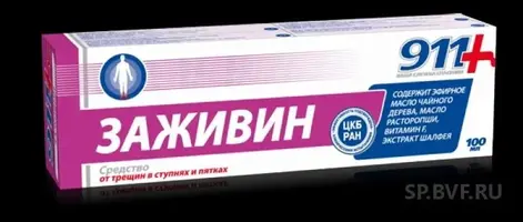плогю.webp