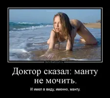 55.webp