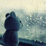image_11108140021351519420.gif