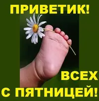 птфк.webp