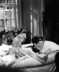 audrey-hepburn-76263.webp