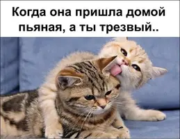kartinki-23052017-014.webp
