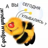 IMG_1362.webp