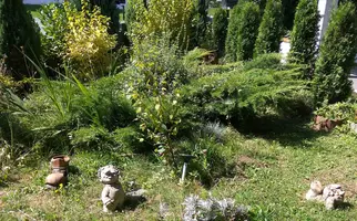 IMG_20170824_120342.webp
