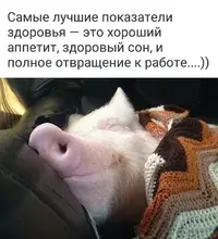 IMG-20170616-WA0000.webp