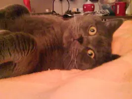 x_810a0e83.webp