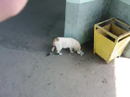 20100610.webp