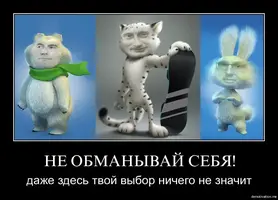 xfafx5qlpexu.webp