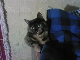 Photo-0027.webp