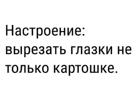 IMG_2013.webp