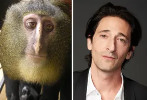 celebrity-look-alikes-animals-40 700.webp