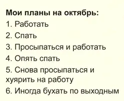 IMG_4879.webp